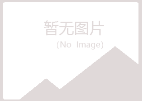 青岛四方吵闹工程有限公司